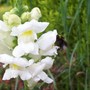 100_3181.jpg