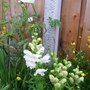 100_3176.jpg