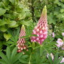 7_june_08_005