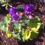 Clmtn_clmb_mrn_060708