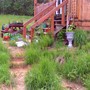 front steps