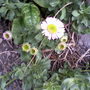 Photo-0073_p