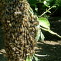 Dscf0008