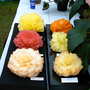 Shrewsbury flower show 2007