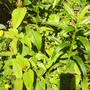 Picture_009.jpg