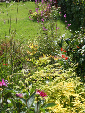 My Garden