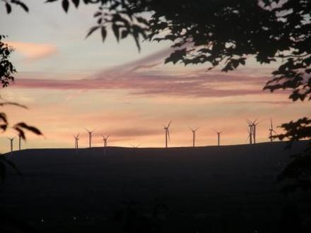 wind farm at dusk