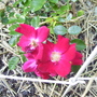 100_0756.jpg