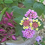 100_0757.jpg