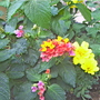 100_0759.jpg