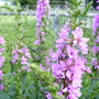 100_0762.jpg