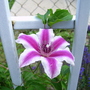 100_0764.jpg