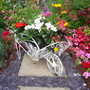 Pams_pics_170