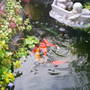 Pams_pics_076
