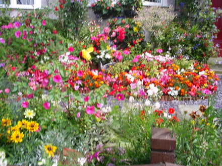 looking over front garden fence