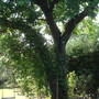 June_9th_2008_019
