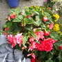 Pams_pics_175
