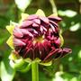 09_june_007
