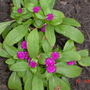 Dsc01580