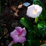 Dsc01619