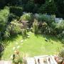 Back garden