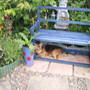 Pams_pics_200