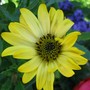 Img_2876