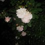 Night_008