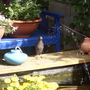 visitor