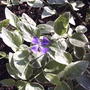 2008-06-09_004