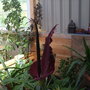 Dscf1458