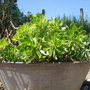 Dscf1444
