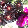 Dscf1422