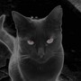 Sooty....in a mood.