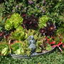 Dscf1443