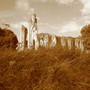 Amateur_photograph_of_the_year_2006