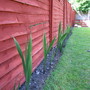 Day Of The Triffids