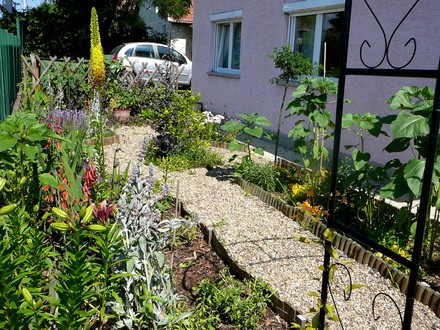View of front garden from main path.