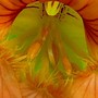P1020167