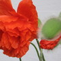 Img_4186