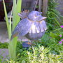 Robin
