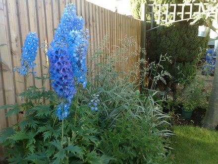 10062008162.jpg