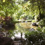 Pict0080