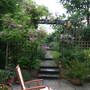 my garden