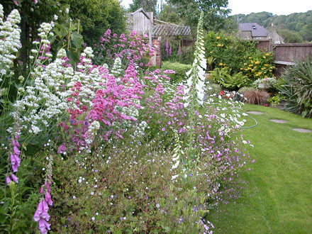summer border 2
