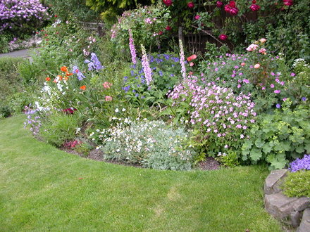 summer border 5