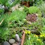 April_17_009