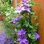 Imported_photos_00151