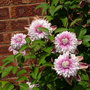 Imported_photos_00152