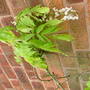 Imported_photos_00155